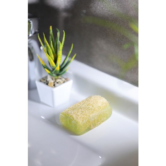 Aloe Vera Soap With Natural Pumpkin Fibers From The Turkish Brand Le Touche