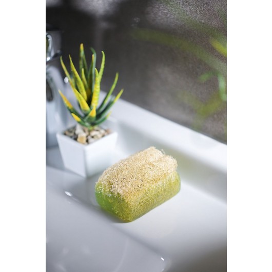 Argan Soap With Natural Pumpkin Fibers