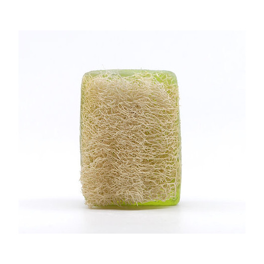 Pine Soap With Natural Pumpkin Fibers From The Turkish Brand Le Touche