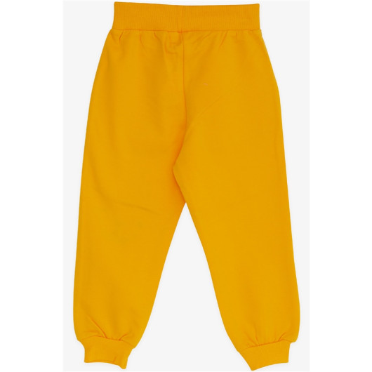 Baby Boy Sweatpants Yellow Embroidered Series (1.5-4 Years)