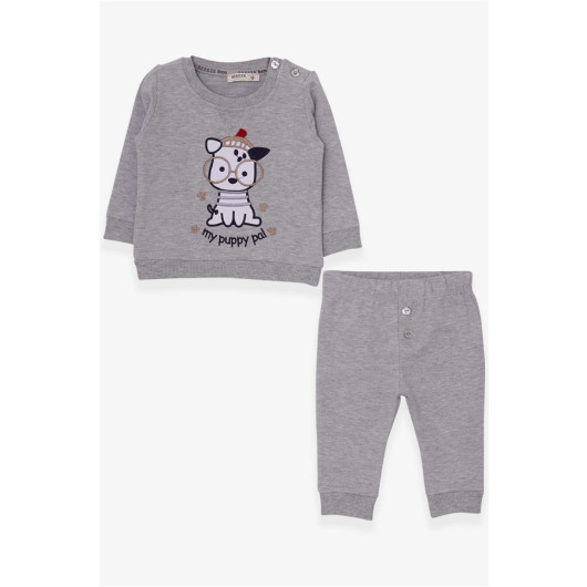 Baby Boy Tracksuit Set Glasses Dog Embroidered Gray Melange (9 Months-2 Years)