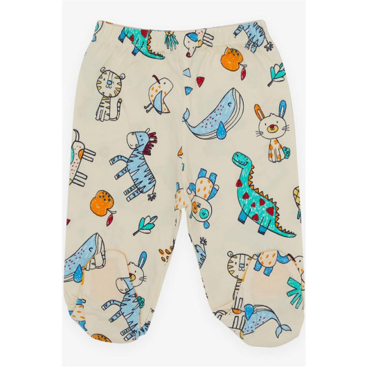 Baby Boy Hospital Release Pack Of 3 Colorful Animals Patterned Cream (0-4 Months)