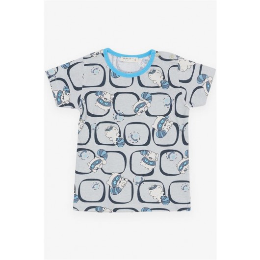 Baby Boy Pajamas Set Cute Raccoon Patterned Gray (9 Months-3 Years)