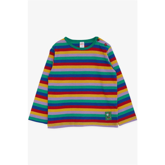 Baby Boy Long Sleeve T-Shirt Striped Mixed Color (9 Months-3 Years)