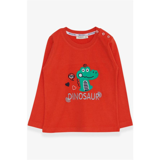Baby Boy Long Sleeve T-Shirt Dinosaur Embroidered Orange (9 Months-3 Years)