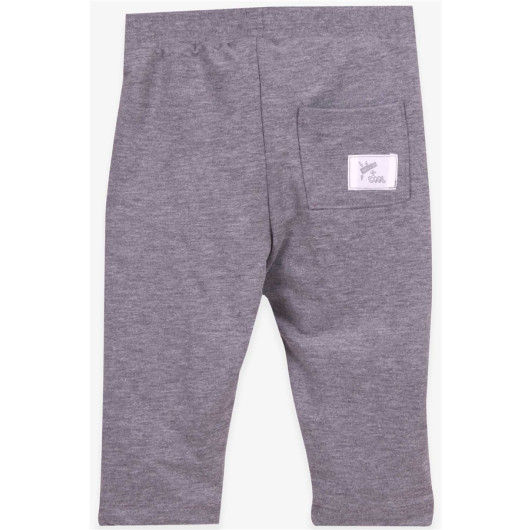 Boy's Sweatpants Gray Melange With Bag Pocket (1-4 Ages)
