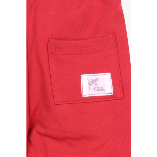 Boy's Sweatpants With Bag Pocket Tile (1-4 Years)