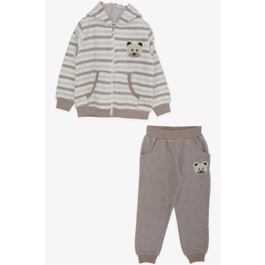 Boy's Tracksuit Set Zippered Hooded Teddy Bear Printed Mixed Color (Age 1.5-5)