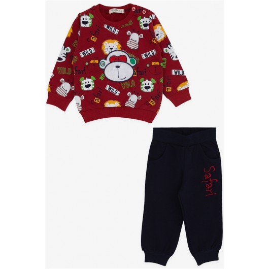 Boys Tracksuit Set Monkey Embroidered Claret Red (1-4 Years)
