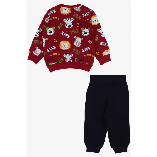 Boys Tracksuit Set Monkey Embroidered Claret Red (1-4 Years)