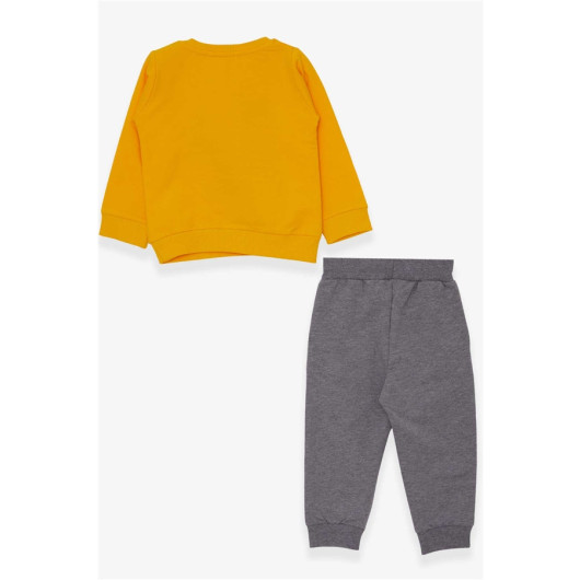 Mustard Yellow Cars Embroidered Sports Set For Boys (1.5-5 Years)