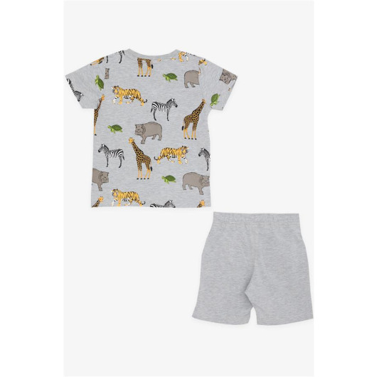 Boys Shorts Set Printed Gray Melange (2-6 Years)