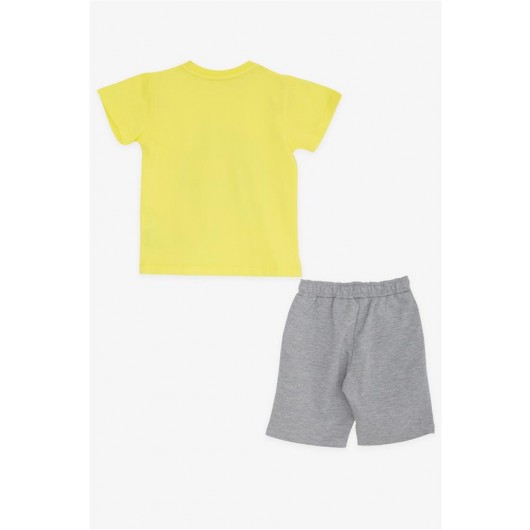 Boys Shorts Set Baby Lioness Printed Yellow (1-4 Years)
