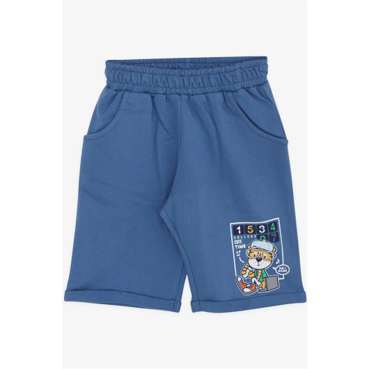 Boys Shorts Set Sailor Lion Printed Light Blue (1-4 Years)