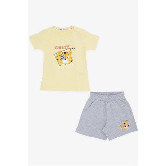 Boy Shorts Suit Photographer Lion Printed Yellow (1-4 Years)