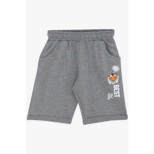 Boys Shorts Suit Tiger Printed Ecru (1-4 Years)