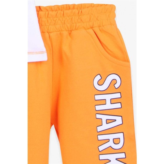 Boys Shorts Set Shark Printed Ecru (1.5-5 Years)