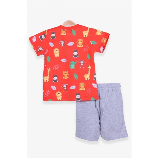 Boys Shorts Suit Safari Printed Orange (1-4 Years)
