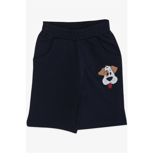 Boys Shorts Set Cute Puppy Light Gray Melange (1-4 Years)