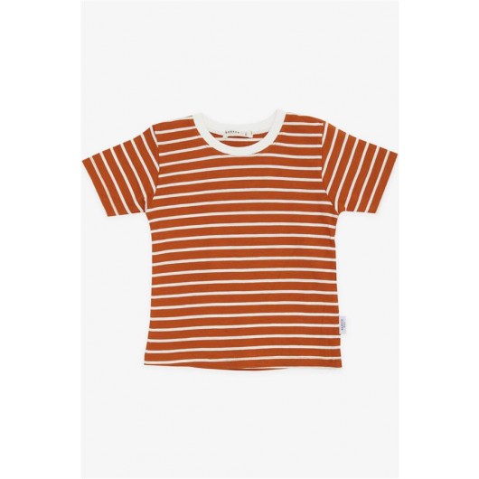 Boys T-Shirt Striped Cinnamon (3-7 Years)