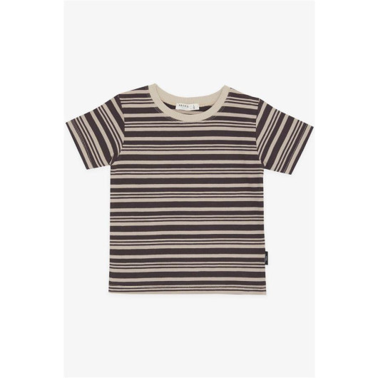Boys T-Shirt Striped Mink (3-7 Years)