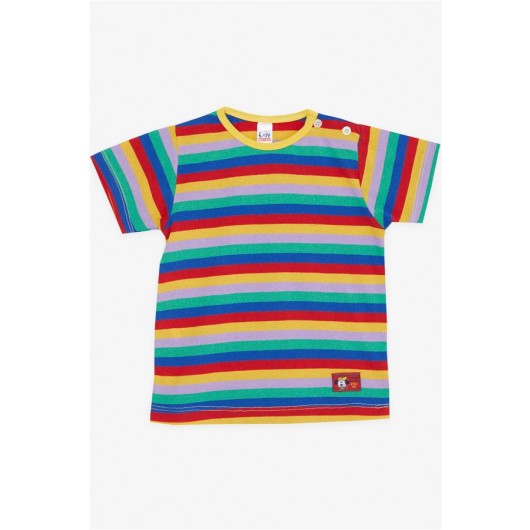 Boy's T-Shirt With Contrast Color Stripes (1-4 Years)