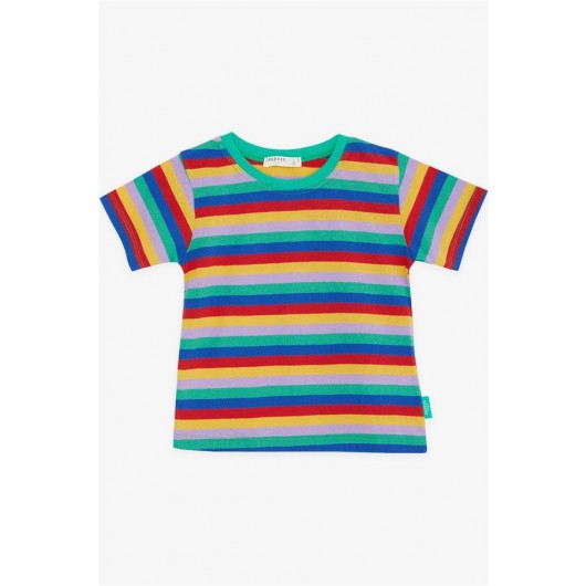 تي شيرت ولادي بخطوط ملونة /الوان متعددة (3-7سنوات)