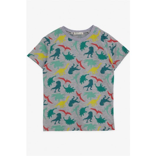 Boys T-Shirt Colored Dinosaur Printed Gray Melange (5-9 Years)