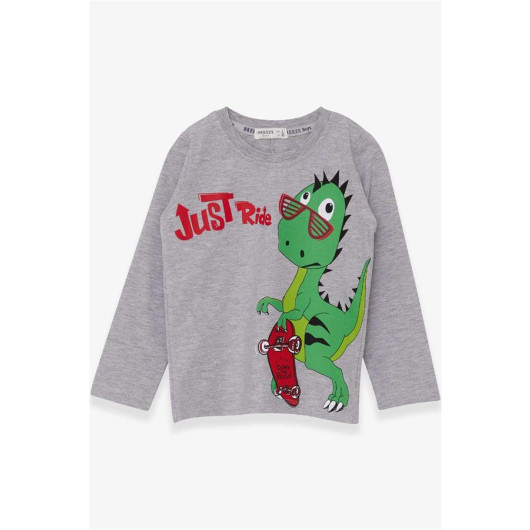 Boy Long Sleeve T-Shirt Dinosaur Printed Gray Melange (2 Years)