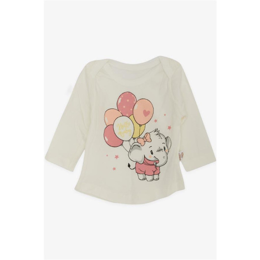Baby Girl 3-Piece Set With Balloon Elephant Print, Snap On Collar Sleeves, Laced Powder (0-9 Months)