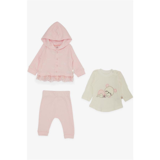 Baby Girl 3-Piece Set Sleepy Bear Embroidered Guipure Detailed Pink (0-9 Months)