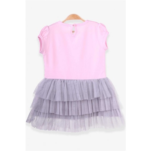 Baby Girl Dress Tulle Powder (9 Months-3 Years)