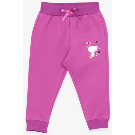 Baby Girl Sweatpants Cat Printed Lilac (6 Months-2 Years)