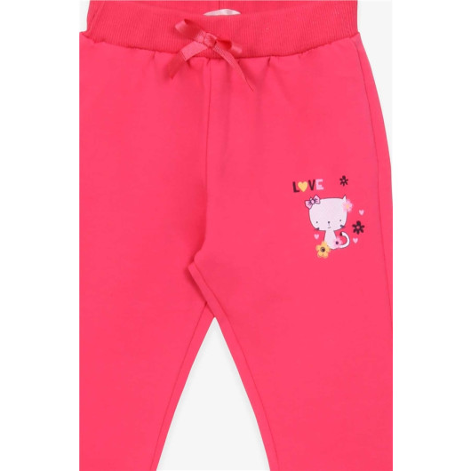 Baby Girl Sweatpants Cat Printed Coral (6 Months-2 Years)