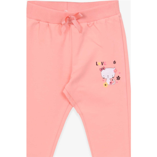 Baby Girl Sweatpants Cat Printed Salmon (6 Months-1 Years)