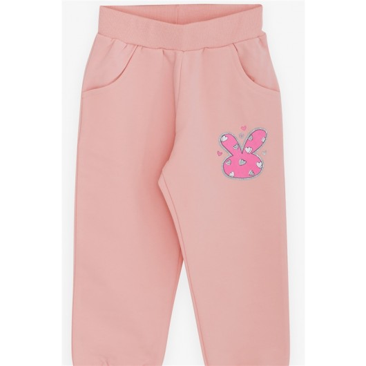 Baby Girl Tracksuit Set Silvery Accessory Pink (9 Months-3 Years)