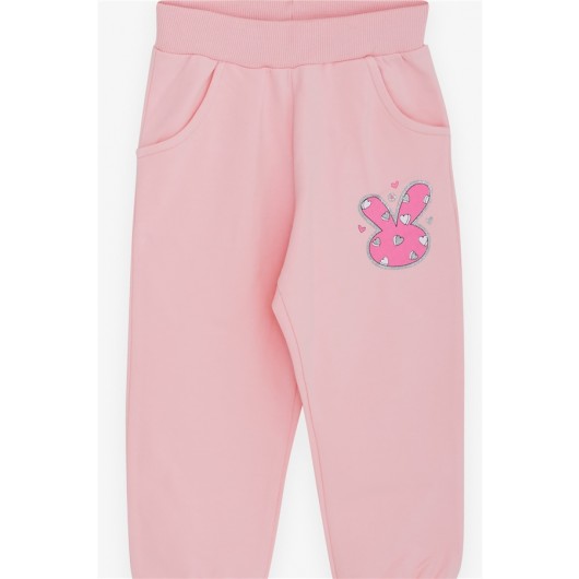 Baby Girl Tracksuit Set Glittery Accessory Powder (9 Months-1.5 Years)