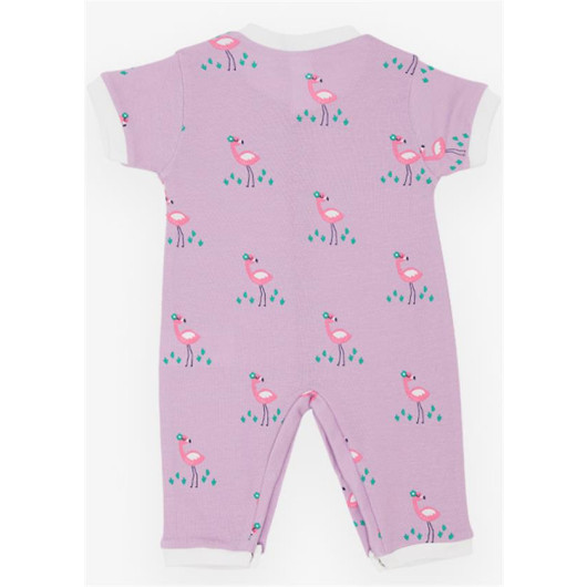 Baby Girl Short Sleeve Jumpsuit Cute Flamingo Patterned Lilac (0-6 Months)