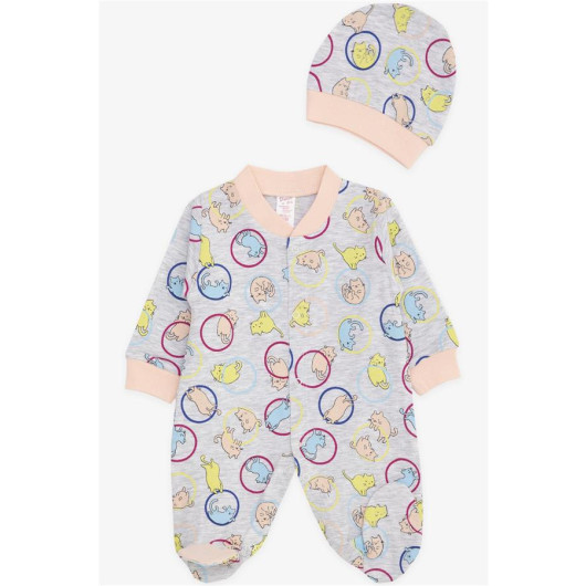 Baby Girl Booties Jumpsuit Moving Cute Kitten Patterned Light Gray Melange (0-6 Months)