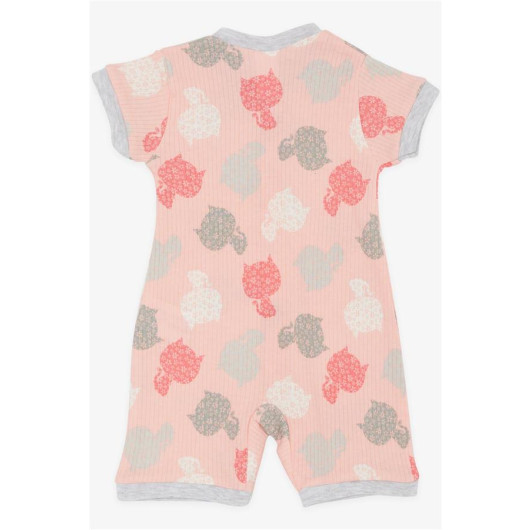 Baby Girl Shorts Rompers Cute Kitten Patterned Pink (0-9 Months)