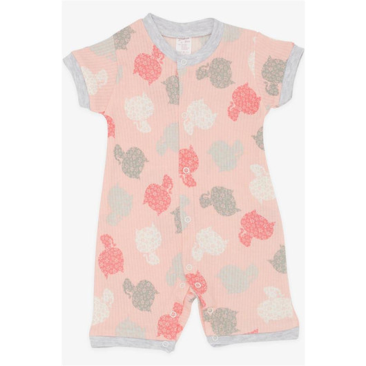 Baby Girl Shorts Rompers Cute Kitten Patterned Pink (0-9 Months)