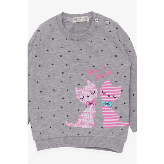 Baby Girl Sweatshirt Happy Kitties Gray Melange (4 Months-1.5 Years)