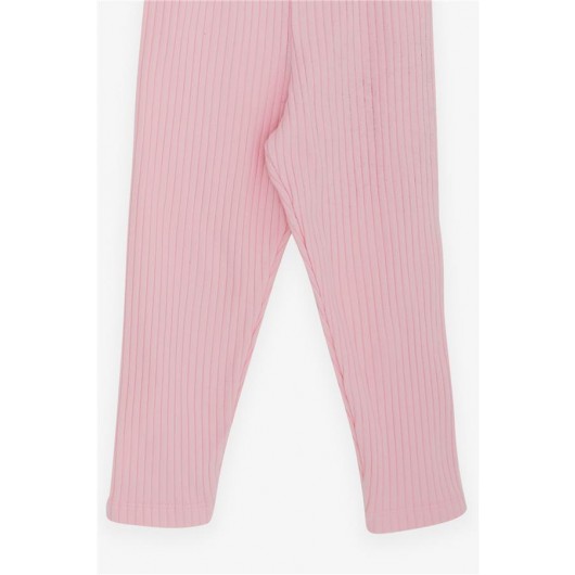 Baby Girl Tights Set Baby Teddy Bear Embroidered Pink (9 Months-3 Years)