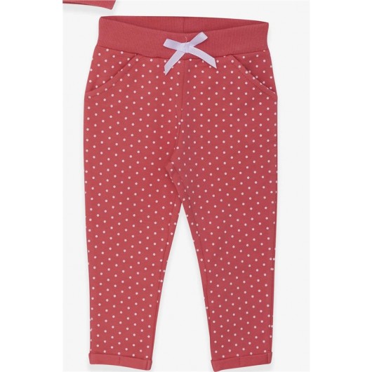 Baby Girl Tights Set Silvery Polka Dot Printed Tile (9 Months-3 Years)