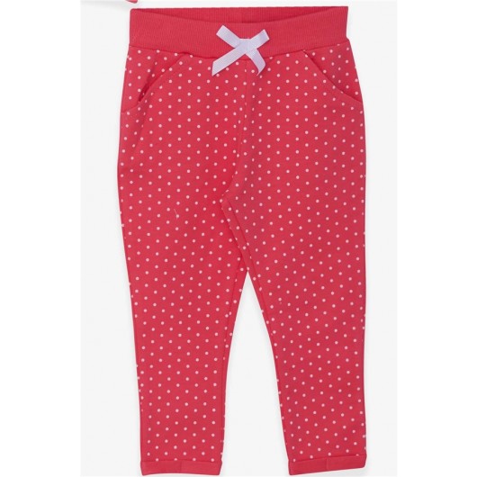 Baby Girl Tights Set Silvery Polka Dot Printed Pink (9 Months-3 Years)