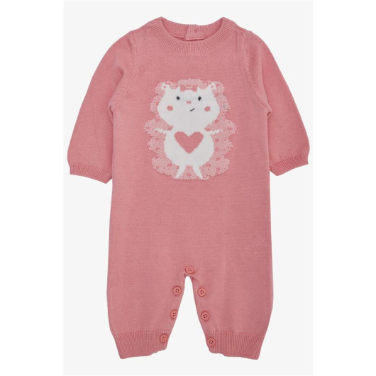 Baby Girl Jumpsuit Knitwear Cute Animal Printed Dusty Rose (0-9 Months)