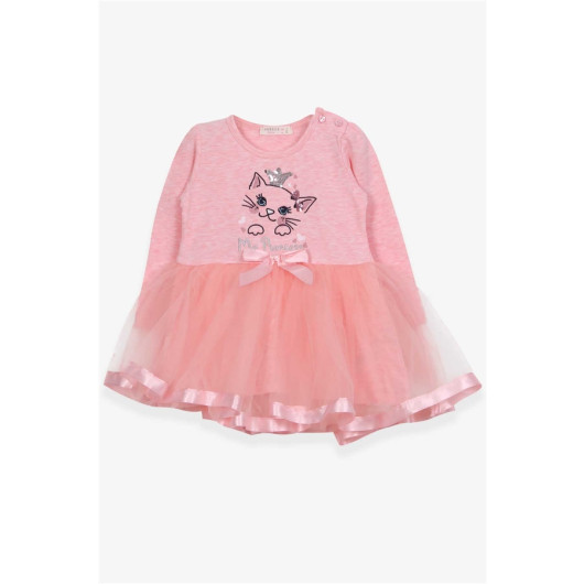 Baby Girl Long Sleeve Dress Kitty Embroidered Sequin Salmon Melange (1.5 Years)