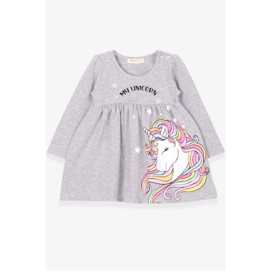 Baby Girl Long Sleeve Dress Unicorn Gray Melange (2-6 Years)