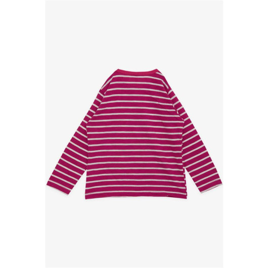 Baby Girl Long Sleeve T-Shirt Striped Patchwork Butterfly Printed Fuchsia (9 Months-3 Years)