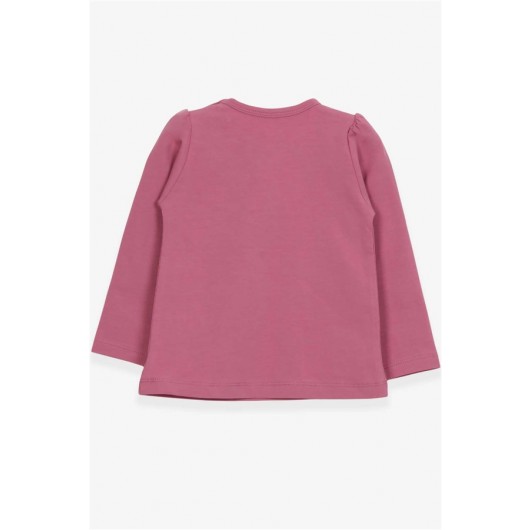 Baby Girl Long Sleeve T-Shirt With Guipure And Bow Plum (6 Months-2 Years)